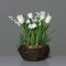 mucplants Wunderschönes künstliches Frühjahrsblumensortiment im Rattan Nest 26cm Creme mit künstliche Tulpen Maiglöckchen Schneeglöckchen Tischdekoration Tischgesteck