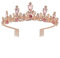 Mädchen Kristall Tiara Krone mit Kamm Rosa Frauen Prinzessin Stirnband Geschenk für Kostüm Hochzeit Abschlussball Geburtstag Kuchen Topper Weihnachtsfeier Festzug Haarschmuck Geschenk Schmuck