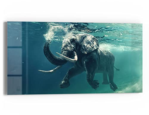 DEQORI Glasbild Echtglas | Motiv Schwimmender Elefant | horizontal einteilig 60x30 cm | schöne Dekoration | Wandbild für Wohnzimmer, Schlafzimmer, Flur & Küche | moderne Wanddeko