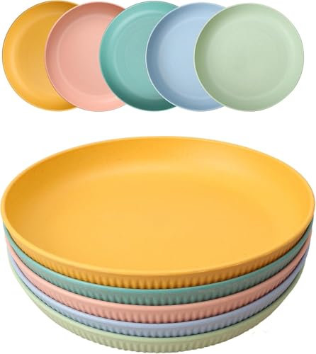 Wvu & Wvo 5 Stück Wiederverwendbar Camping Teller, 23cm Großer Kompakter Hartplastik Teller​Tiefe Speiseteller Unzerbrechlich Picknickteller Set Mikrowelle Spülmaschinenfest für Party Zuhause Reise