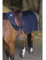 RIDING WORLD wasserdichte Nierendecke mit Fleece Futter, Rückenlänge 165 cm, schwarz