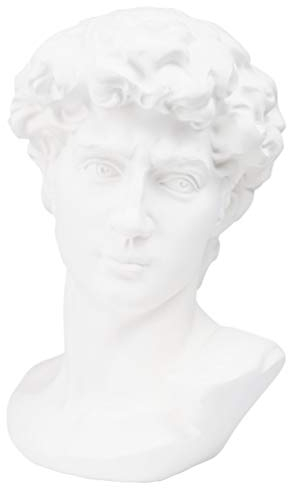 BESPORTBLE 1stk Gipskopf Von David Mythologie Skulptur David Büste Statue Kopf Einer Griechischen Skulptur David Kopfbüste Griechische Deko Stillleben Gips-Statue Harz Weiß Zeichne Eine Linie