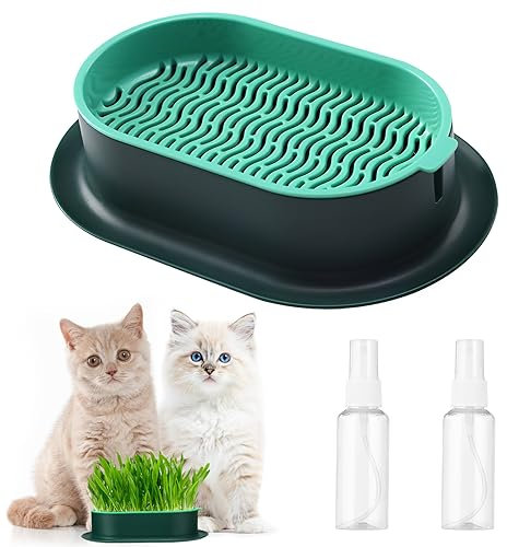 FRXAEZTG Erba Gatta Secca in Germogliatore Portatile,Vaso Germinante con 2 Vasi Spray,Promuovere la Digestione (Green)