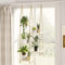 Bamworld Fenster Pflanzenregale Hängeregale Fenster Pflanzenhänger Indoor Holz Pflanze Wandregal Fensterbank Pflanzenregal Indoor Hängende Pflanzenständer Wohnzimmer Dekor Garten Boho Dekor