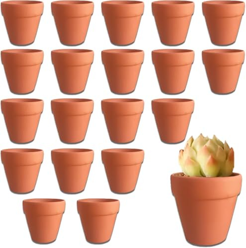DYOUen 20 Pcs Terrakotta Töpfe 4 x 4.5 cm Mini Pflanzen Töpfe Keramik Blumentöpfe für Innen/Outdoor Kaktus Sukkulente Haus Pflanzen