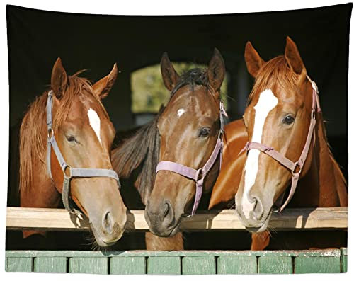 CORFOTO 300x250CM Pferd Foto Wandteppich Holzstall und Pferde Wandteppich Wandkunst Ästhetisches Wohnzimmer Schlafzimmer Dorm Dekor Wanddekoration Wandteppich