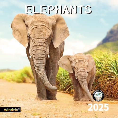 Wandkalender 2024 2025, Kalender 2025, Juli 2024 – Dezember 2025, Wandkalender Elefanten, 30,5 x 61 cm geöffnet, ganzseitige Monate, dickes und stabiles Papier für Geschenk, Kinder, Teenager, Kalender