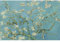 MISITU 1000 Pieces Jigsaw Puzzle Van Gogh Painting Almond Blossom, Challenging Puzzles for Family Game, Mini 1000 Pieces Jigsaw for Adult