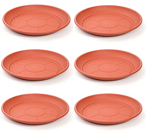 Acan Confezione da 6 piatti in plastica per vasi da 30/40 cm Mediterraneo. Vassoi, piattini, sottopiatti rotondi per interni esterni, giardino, terrazza o balcone (marrone)