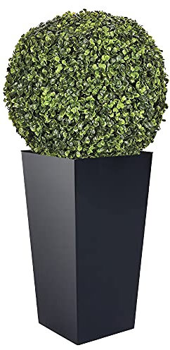 Prosperplast Urbi Square Blumentopf aus Kunststoff mit Behälter in Anthrazit, 55 (H) x 29,5 (B) x 29,5 (T) cm + Buchsbaumkugel Ø 36 cm