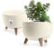 KADAX Vaso Rialzato 33 cm in Plastica per Piante da Interno ed Esterno, Coprivaso Decorativo con Piedistallo Simil-Legno e Design Moderno (Crema)