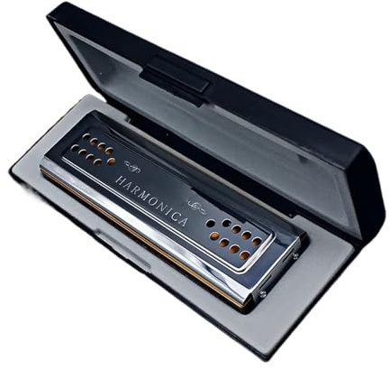 Mundharmonika Für Erwachsene 24 Loch Polyphone Doppelseitige CG Tune Tremolo Mundharmonika
