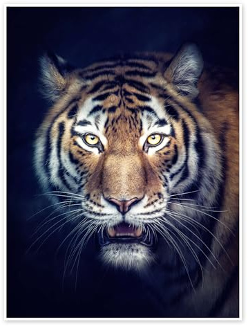 Amurtiger Poster von Manuela Kulpa 90 x 120 cm Wandbilder Wanddeko