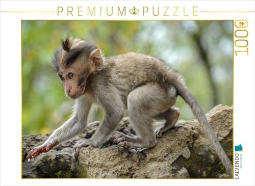 CALVENDO Puzzle Makake | 1000 Teile Lege-Größe 64 x 48 cm Foto-Puzzle für glückliche Stunden