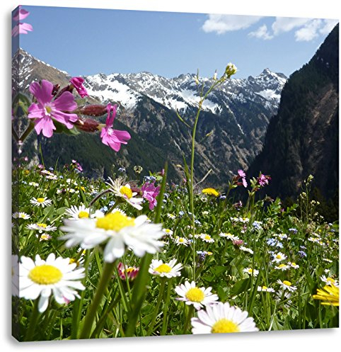 Pixxprint Wunderschöne Blumen Alpenwiese, Größe: 70x70, Leinwandbild Quadratisch, Wandbild, Kunstdruck, fertig bespannt
