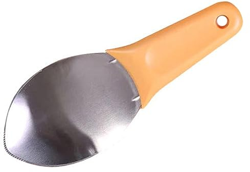 GRIRIW cutting mango tool tomato divider cuber mango diced tool mango pitter fruit peeling tool mango cutter avocado slicer mango scooping tool Enucleated pitaya Stainless steel