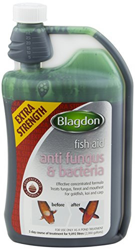 Blagdon Extra Strength Concentrated Formula Anti Fungus & Bacteria Water Treatment for Pond Fish, Finrot, Mouthrot, Goldfish, Koi, Carp, 1 Litre