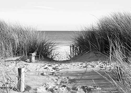 Papier Peint Photo INTISSÉ-DUNES-350x260 cm-(1508AE)-Plage Mer Nature Caraïbes Océan Paysage Noir et Blanc Côte Colle Inclus Mural Décor Motif Poster Géant Stickers Muraux Optique Moderne Fond Effet