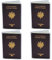 Ugozen Porta Passaporto Transparente | Etui di Protezione Pratico per Passaporti | Pochette per Passaporto da Viaggio - Protezione Ottimale (4)