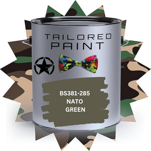 Vernice opaca 1 l di grado militare con pennello/spray su vernice UPVC per legno, acciaio e plastica, BS381 285 NATO GREEN