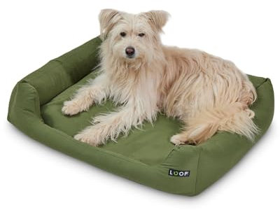 Loop Orthopädisches Hundebett Grün XL für große Hunde - Recyceltes Flockenfüllmaterial, Waschbarer, robuster Baumwollbezug mit soliden Reißverschlüssen, Allergikerfreundlich, Indoor/Outdoor