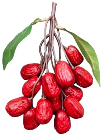Realistische Reddates Kunststoff Künstliche Jujube Gefälschte Getrocknete Jujube Ornamente Künstliche Nüsse zum Herstellen und Dekorieren