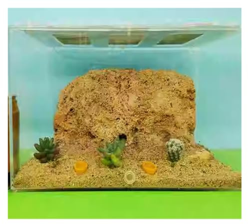 Ameisenburg Terrarium, Acryl Ant Farm Castle Nest for wissenschaftliche Beobachtung große Größe klar
