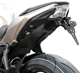 ZIEGER Pro Kennzeichenhalter kompatibel mit Kawasaki Z650 / Ninja 650 Frankreich