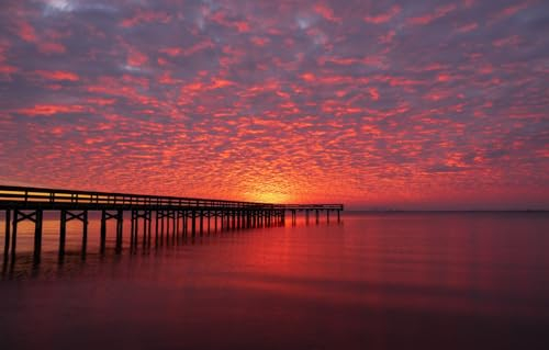 GUOHLOZ 1500 Teile, Puzzle für Erwachsene, Pier, Vereinigte Staaten, Virginia, King Lincoln Park, Newport News, 87x57cm