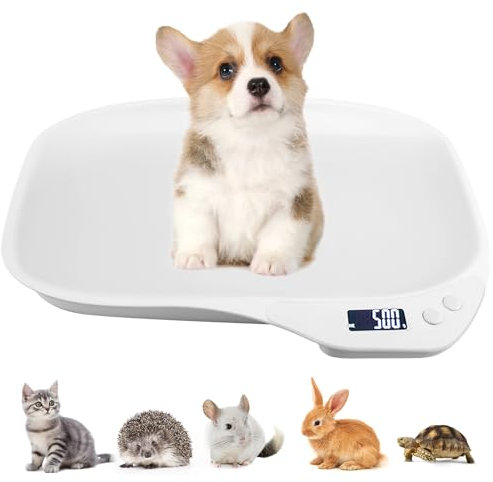 BORDEAG Pèse-Animal Numérique Multifonction, Pèse-Chien pour Petits Animaux, 15 Kg (± 1 G), pour Chatons, Chiots, Hamsters