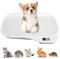 BORDEAG Digitale Haustierwaage, Haustierwaage für Kleine Tiere, Kleine Tierwaage, 15kg (±1gram), mit LCD-Display, für Kätzchen, Welpen, Hamster