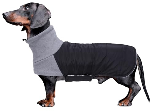 Morezi Dachshund dog coats sausage jacket fit for dachshunds corgi reversible dog winter coat padded cotton lining high collar dog suit in Autumn Winter Black L