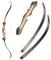 RAGIM Wildcat Black - 62 Zoll - Recurvebogen - 22 lbs | Linkshand