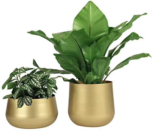 Vixdonos Lot de 2 Pots de Fleurs en métal avec Trou de Drainage Doré 15,2 cm Laiton doré.