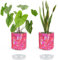 Urban Jaga 2 Pack Decorative Planter Basket with 2 Plant Saucer - Indoor - Planter Pot Covers - Flowerpot - Modern Storage Organizer - Home Décor - Neon Pink
