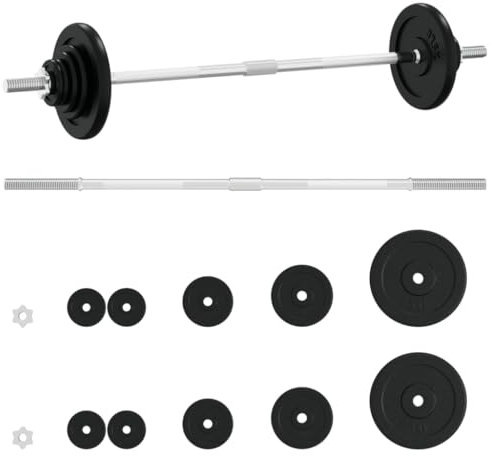 vidaXL Barbell with Plates Set 30 kg Cast Iron Weight Plate Dumbbell