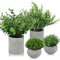 Beinhome Fake Plants Set of 4 - Small Decorative Artificial Plants Indoors in Pots, Plastic Faux Desk Plant, Office Table Plants