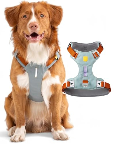 Woolly Wolf Alpha 360 Dog Harness XS Gletschergrün - Hundegeschirr für kleine Hunde aus 100% recyceltem Polyester, Verstellbar & leicht, Perfekt an den Hundekörper anpassbar