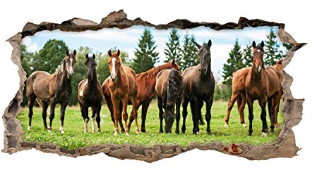 nikima - 125 Wandtattoo Pferde Braun Koppel Wiese - Loch in der Wand - in 6 Größen - Wunderschöne Kinderzimmer Sticker Aufkleber Bezaubernde Wanddeko Wandbild Mädchen - Größe 1750 x 880 mm