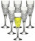 Champagnergläser aus transparentem Kunststoff, spülmaschinenfest, BPA-frei, 6 Stück