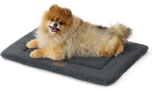 BEDSURE waschbar Hundematte Kleine Hunde - 61x46 cm Katzenbett Große Katzen mit hochdichter Schaumstofffüllung, Sherpa-Plüsch Hundekissen waschbar für Hunde und Katzen, dunkelgrau
