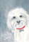 heart of the country Lucky Dog (neu)