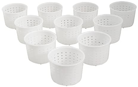 PetriStor 10pcs Small Cheese Mold for Cheese Making 1/3 qt - Soft Cheese Molds - Homemade Cheese Making Supplies - Cream Cheese Form Mold - Moldes Para Queso Fresco Casero - Feta Cheese Making