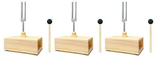 Speesy 3X 432-Hz-Stimmgabel mit Resonanzkasten, für Klangheilung, Stimmgabel-Resonanzunterricht, HöRtests,