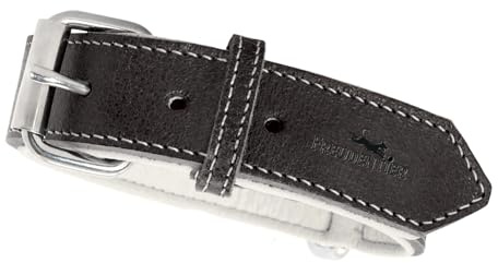 FREUDENTIER® Hundehalsband aus Leder, Made in EU, gefüttert & super komfortabel, hochwertiges breites Lederhalsband aus Vollnarbenleder, Model “Amstelpark” (Midnight, 37-47cm Halsumfang)