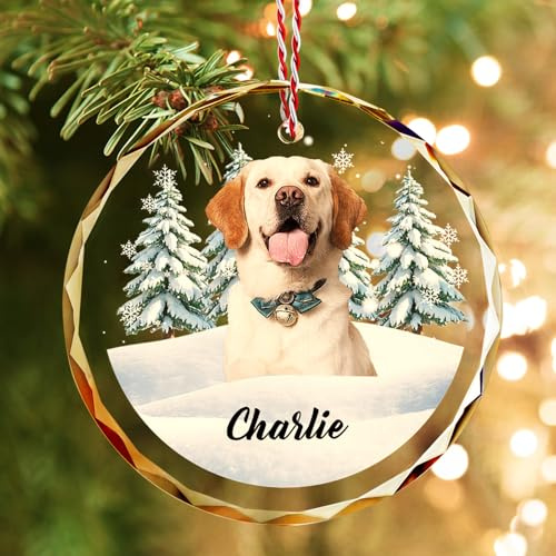 Bemaystar Personalised Crystal Dog Christmas Baubles with Photos – Personalised Christmas Bauble for Dog on Christmas Tree, Christmas Decoration, Personalized Christmas Gift for Dogs and Cats