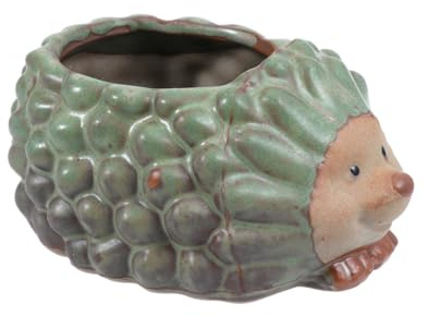 SOIMISS Maceta Forma de Animal de Dibujos Animados, Erizo de Resina | Maceta Original, Jardinera Suculenta para Cactus Pequeños, Decoración Hogar Oficina