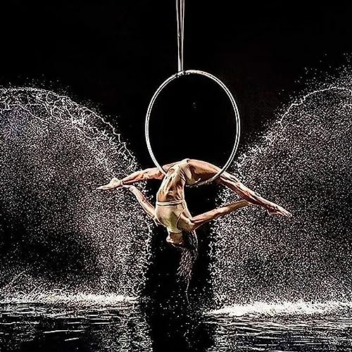 ENHEN Aerial Hoop Professionelles Luftfahrer -Yoga, Erwachsener Schwenkbarer Lyra Hoop Ring für Zuhause/Bar/Fitnessstudio/Aufführung, Innen Im Freien Aus Edelstahl -Tanzstab (Size : Diameter-95cm/37)