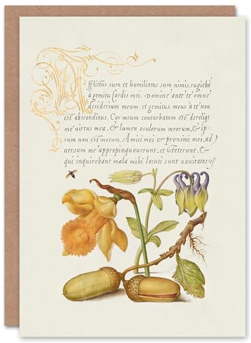 Artery8 Art Card Daffodil Flower and Oak Acorns Model Book of Calligraphy