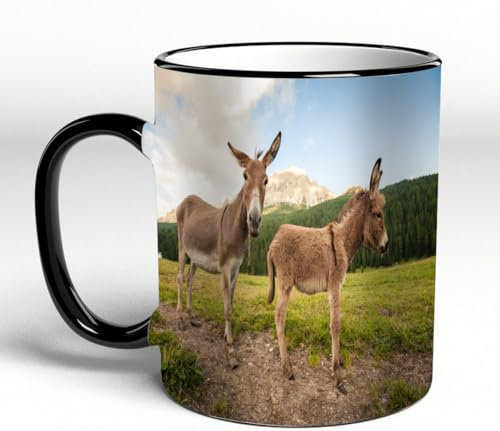 YOIUE Tasse aus Keramik - Große 11oz Tassen 330ml Kaffeetassen mit Henkel, 100% Handbemalt - Trinkgläser mit Griff - Weiß,Zwei süße Esel in den Dolomiten, Italien